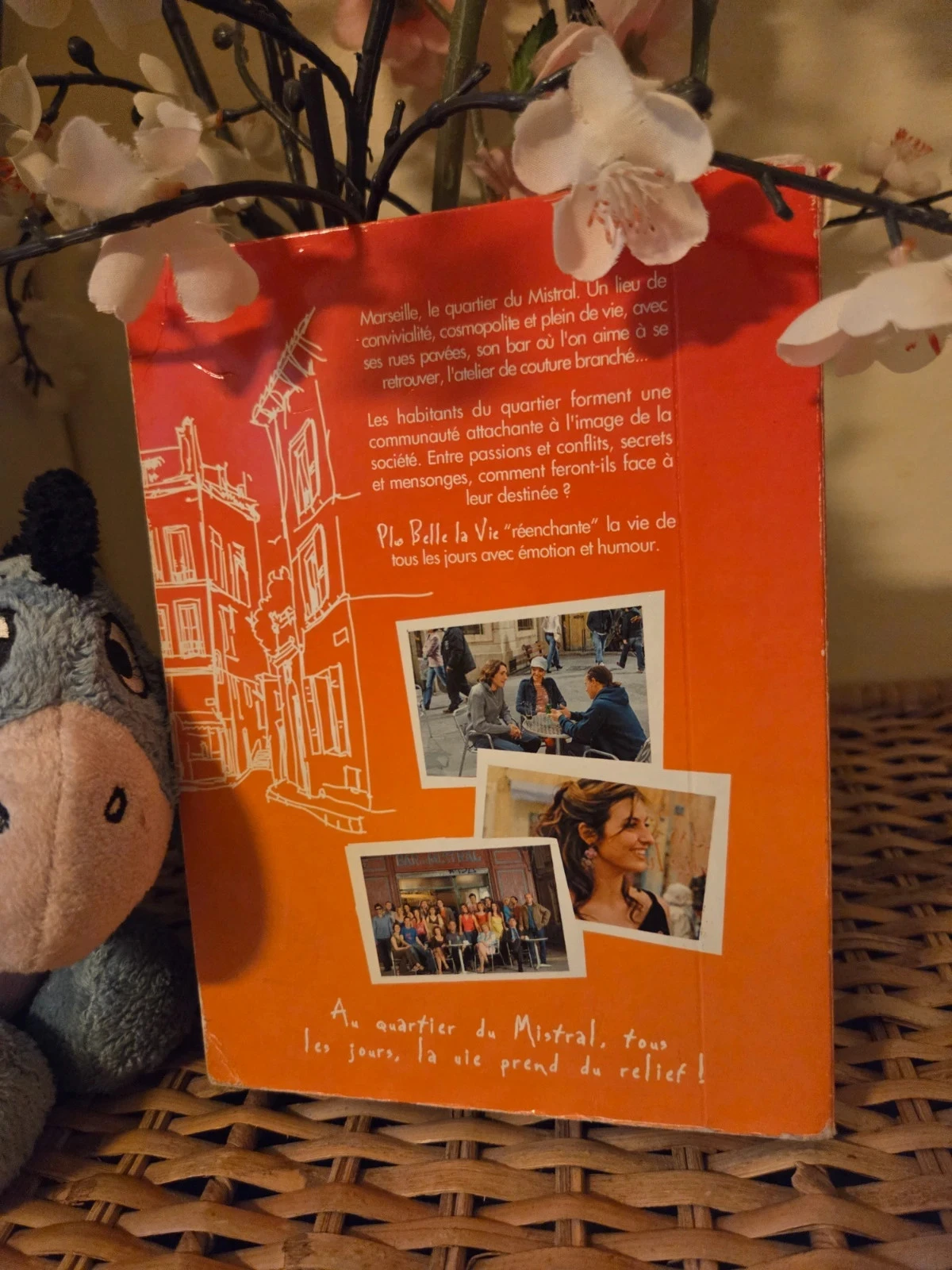 ❤️Plus belle la vie coffret complet – photo 2